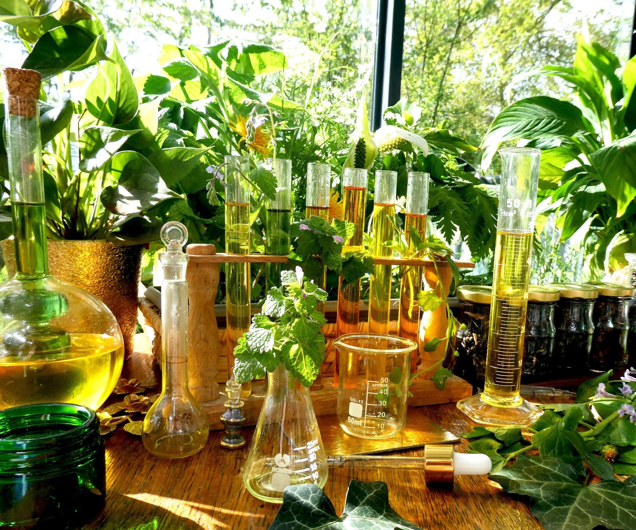 DROP - MERVEILLE DES LANDES BIO - Soin de peau Sensible Régénération Intégrale - Maison Royale Étoile