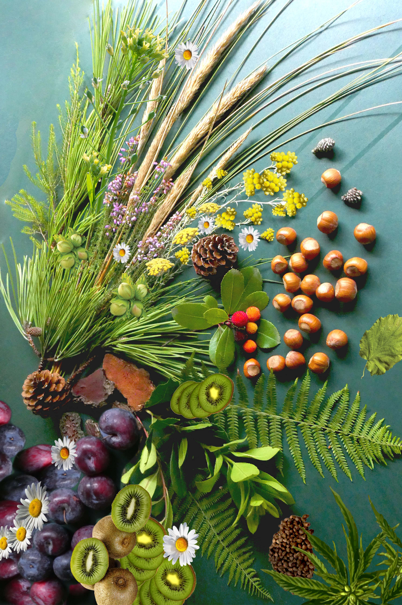 DROP - MERVEILLE DES LANDES BIO - Soin de peau Sensible Régénération Intégrale - Maison Royale Étoile